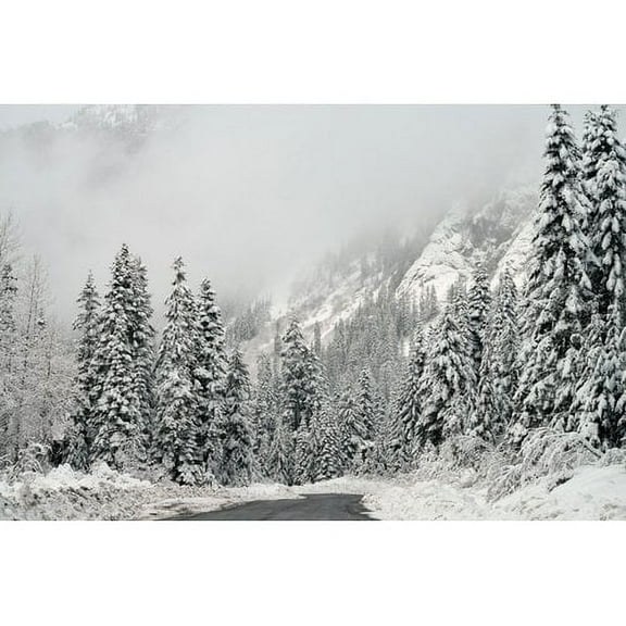 "Winter Wonderland" Painting Print on Wrapped Canvas