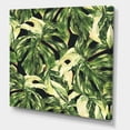 thumbnail image 3 of Designart ' Natural Green Leaves Exotic On Dark II ' Tropical Canvas Wall Art Print, 3 of 4