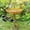 Multicolor, variant on Beautiful Sunflower Bird Bath Brown Pedestal Handmade For Outdoor Fathers Day Gifts
