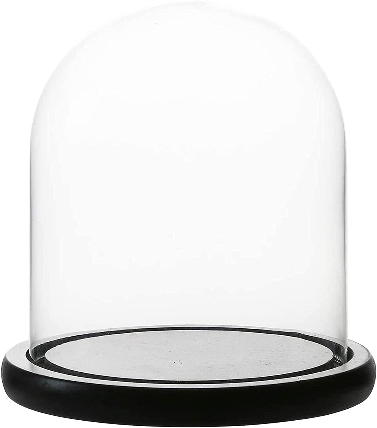 Dark Mahogany Veneer Base Plymor 8" x 10.25" Glass Display Dome Cloche 