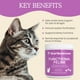 thumbnail image 4 of Suplemento de hongos reales funcionales para gatos felinos, 75 ml, 4 of 8
