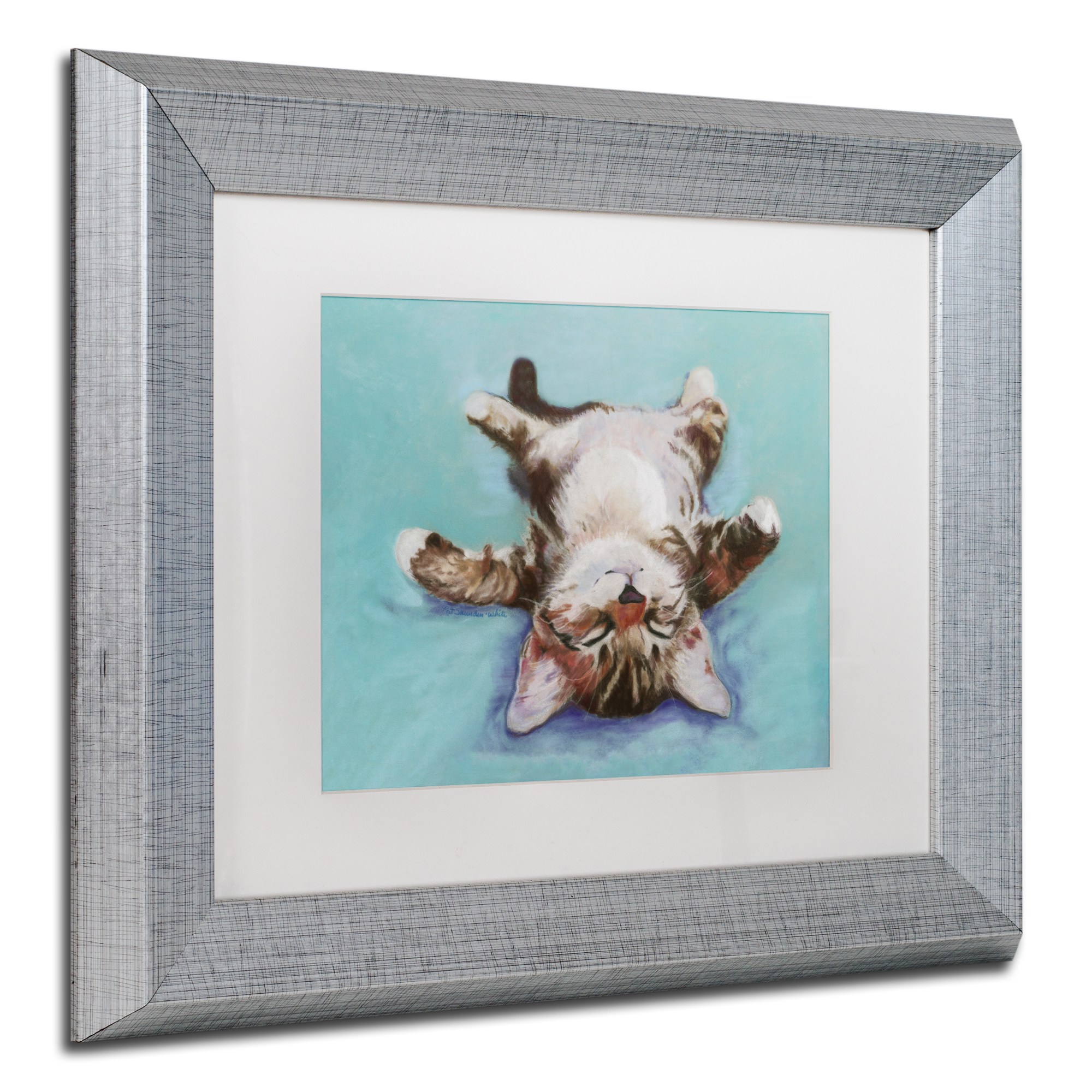 Trademark Fine Art "Little Napper" Canvas Art by Pat Saunders-White White Matte, Silver Frame
