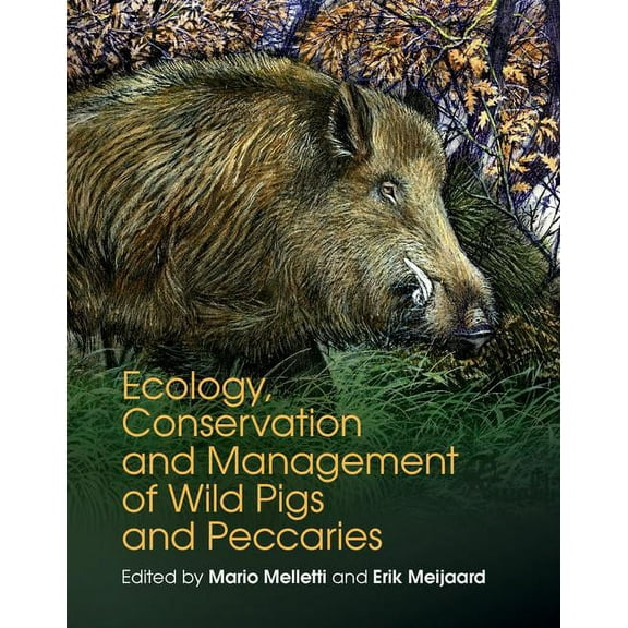 Ecology, Conservation and Management of Wild Pigs and Peccaries, (Hardcover)