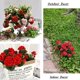 thumbnail image 3 of Nvzi 4 flores artificiales de geranio rojo de imitación, 36 cm de largo, para exterior, jardín, interior, decoración del hogar., 3 of 3