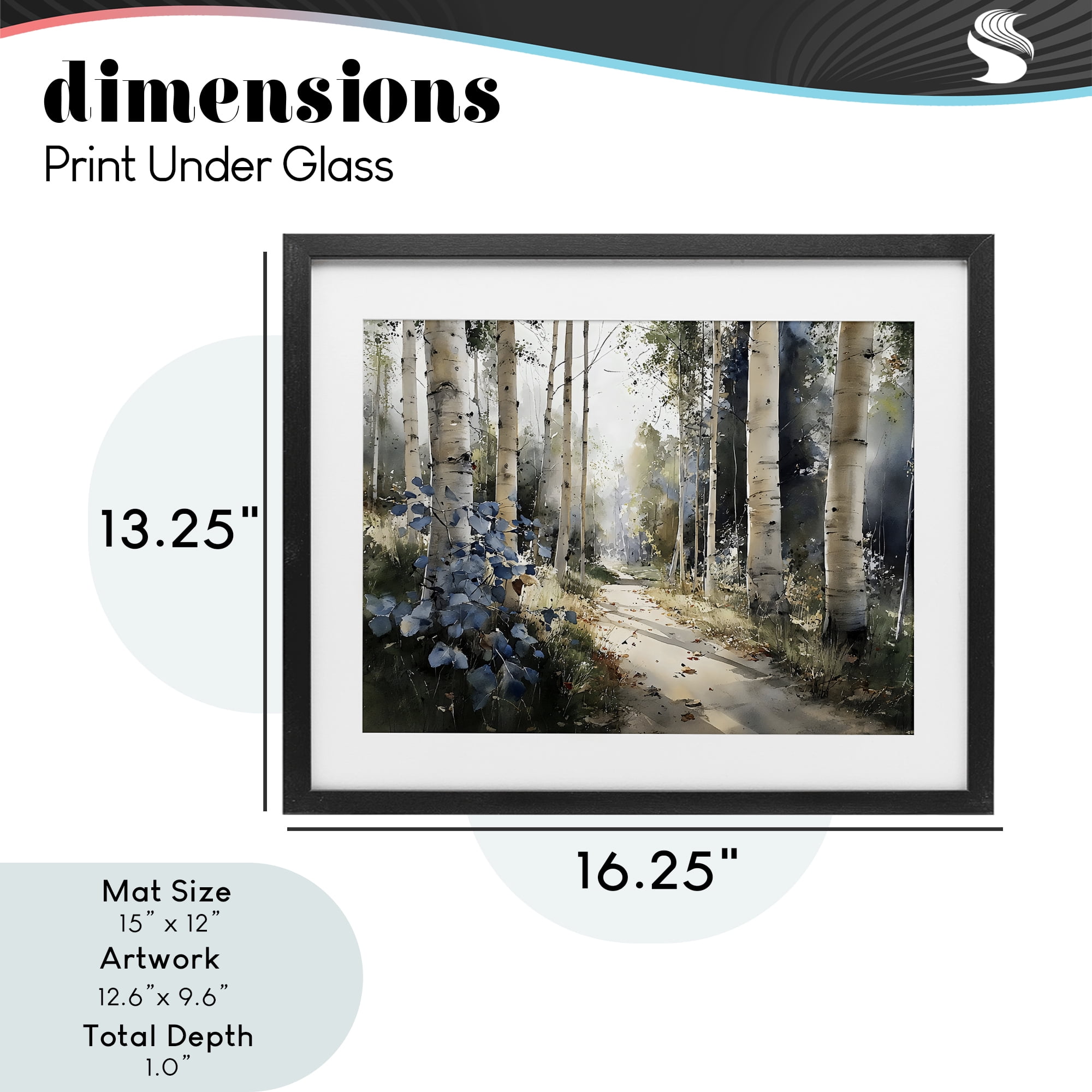 Stupell Industries Blue Birch Sunlit Forest Black Framed Print Under Glass, design by Franklyn Gregory
