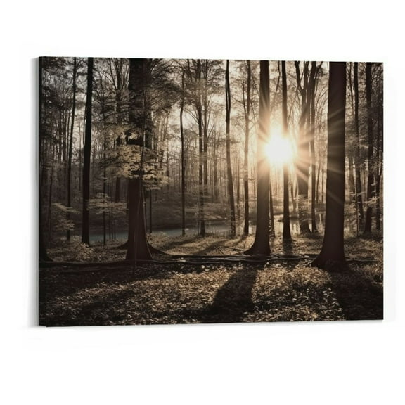 Creowell  Black and White Forest Sunrise Canvas Wall Art Spring Sunshine Through trees Picture Artwork Nature Landscape Wall Art For Home Living Room Bedroom Decor Ready to Hang 20x16 Inch