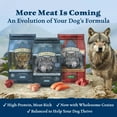 thumbnail image 3 of Blue Buffalo Wilderness High Protein Small Breed Chicken Dry Dog Food for Adult Dogs, Grain-Free, 4.5 lb. Bag, 3 of 13