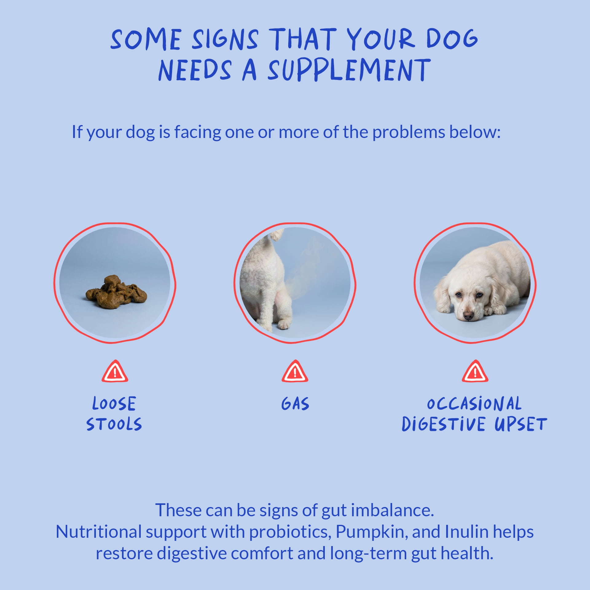 Coco and Luna Probiotics for Dogs - 90 Soft Chews - Diarrhea & Gas Support for Dogs - with Honey, Pumpkin and Prebiotics for Dog Allergies, Bad Dog Breath & Constipation Support