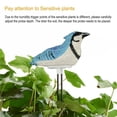 thumbnail image 4 of yingyy Oiseaux en Résine Humidimètre de Sol Testeur d'Humidité pour Plantes en Pot Alarme Instrument de Test d'Humidité Jardin Ferme Rappel d'Arrosage Bleu, 4 of 6