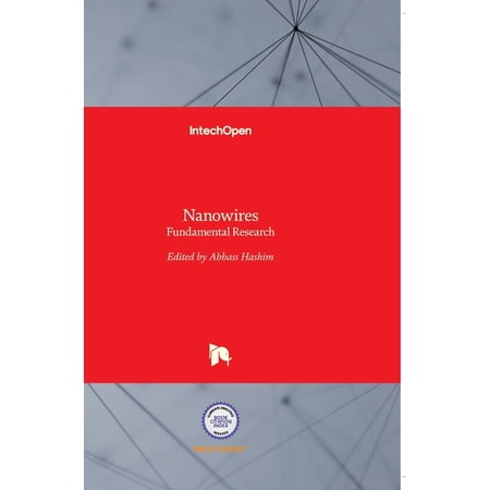 Nanowires: Fundamental Research (Hardcover)