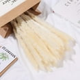thumbnail image 5 of 15pcs Dried Flowers 17 inch Natural Dried Pampas Grass Reed Plant with Box Real Flowers Romantic Wedding Flower Bulrush Bouquets Flavorful Durable for DIY Home Decor Matching Photography (White), 5 of 14