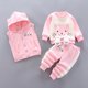thumbnail image 1 of Conjunto de ropa para bebés y niñas, prendas de vestir con capucha, Tops, pantalones, trajes de 3 piezas, traje cálido para niños pequeños, 1 of 4