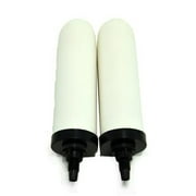 Doulton W9121200 7" Super Sterasyl Ceramic Filter Candle - Pack of 2