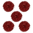 thumbnail image 1 of Uxcell Pompons en Papier de 8 Pouces pour Papier de Soie, Boule de Fleurs, Décoration de Mariage et de Fête, Rouge, Lot de 5, 1 of 6