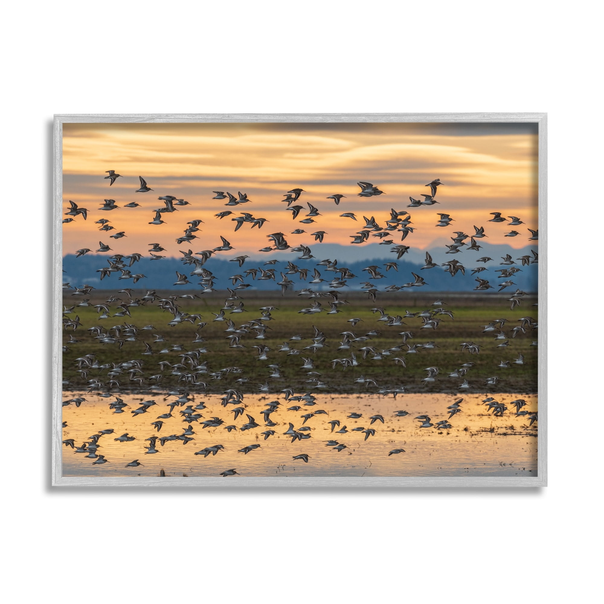 Stupell Industries Flock of Birds Flying Lake Reflection Orange Sunset Painting Gray Framed Art Print Wall Art, Design by Nancy Crowell