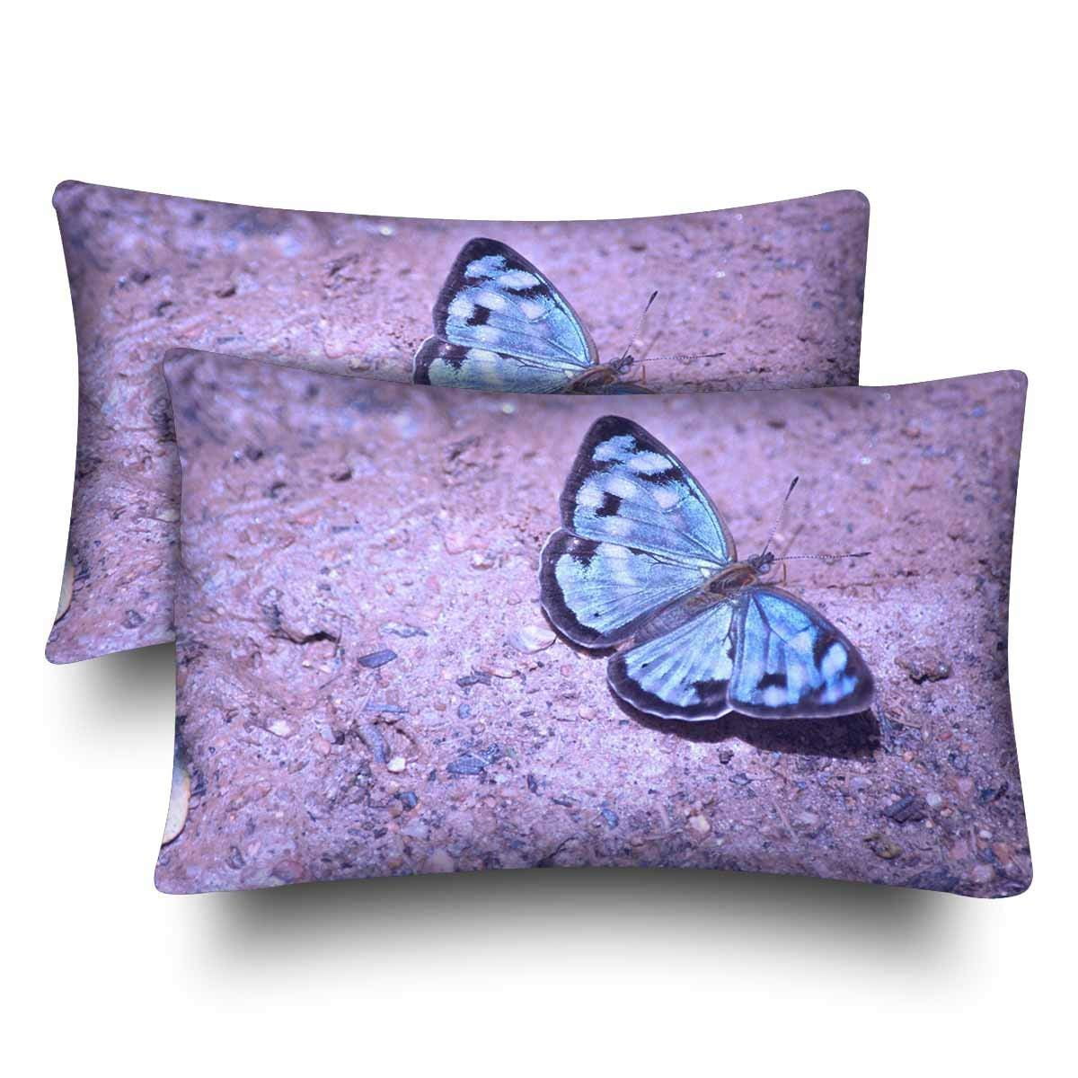 GCKG Blue Butterfly Beautiful Animal Pillow Cases Pillowcase 20x30 ...