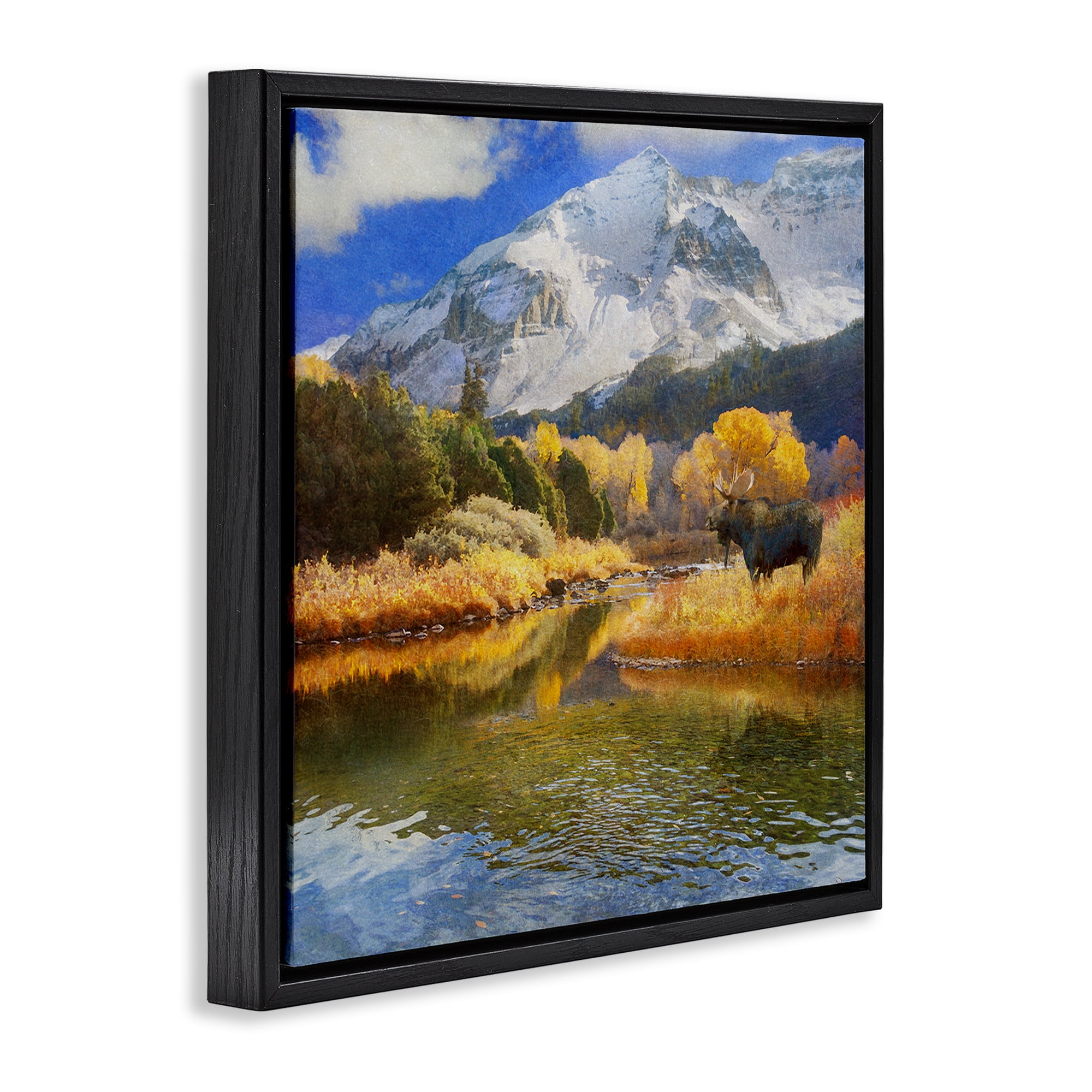 Stupell Industries Moose on Dolores River Landscape & Nature Photography Black Floater Framed Canvas Art Print Wall Art, 18 x 18