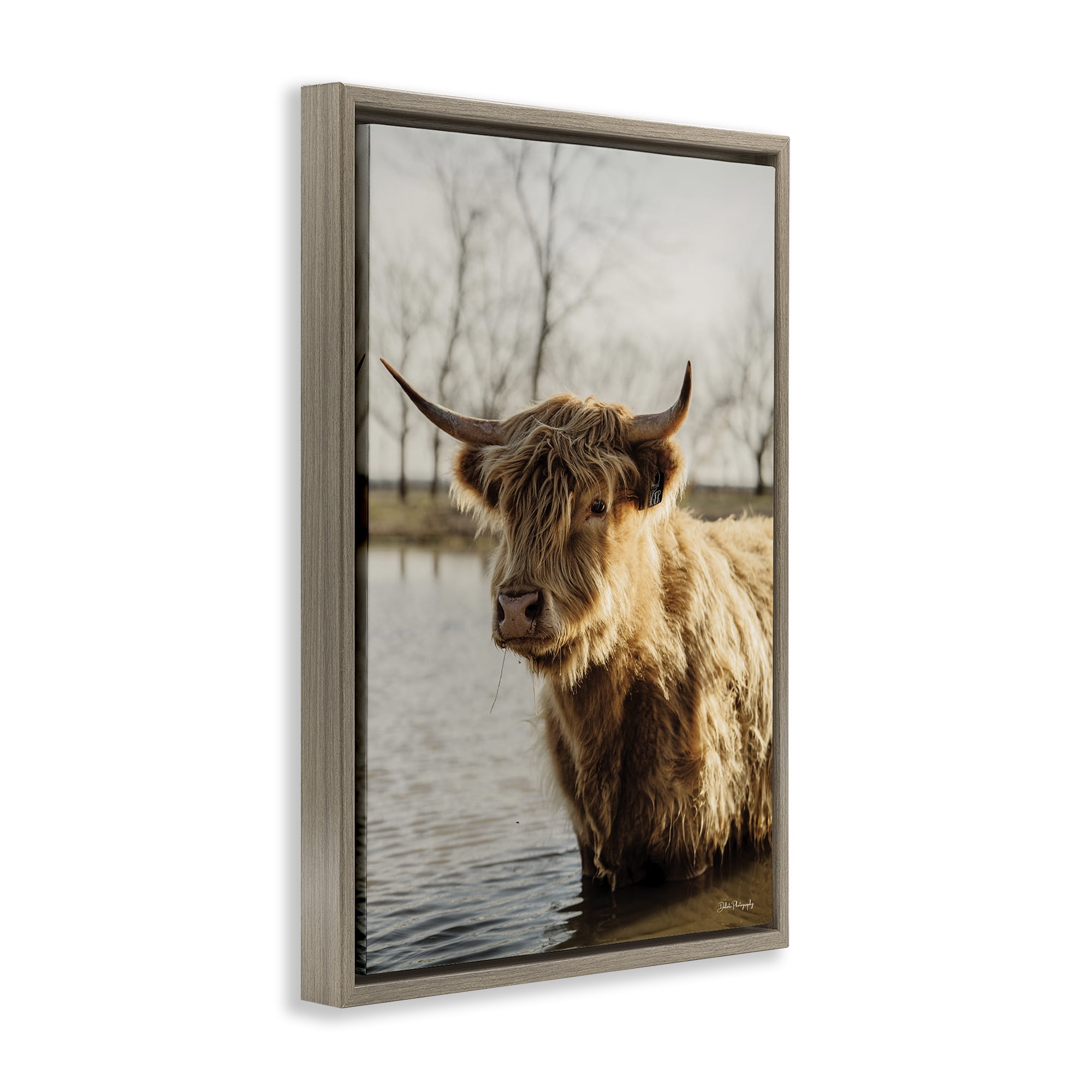 Stupell Industries Peering Cattle in Water Animals & Insects Photography Brown Floater Framed Canvas Art Print Wall Art, 21 x 31