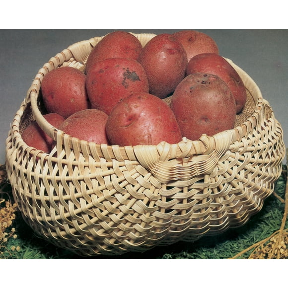 Blue Ridge Basket Kits-Potato Basket 7"X12"X12"