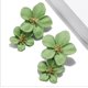 thumbnail image 1 of Pendientes verdes japoneses y coreanos, pendientes creativos de flores dulces, pendientes de perlas de flores con pintura en aerosol a la moda oso de fresa Electrónica, 1 of 4