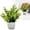 C, variant on Artificial Plants, Mini Fake Potted Plants, Small Potted Faux Decorative Grass Plant with White Pot for Home Decor, Indoor, Office, Desk, Shelf, Table Decoration, Eucalyptus