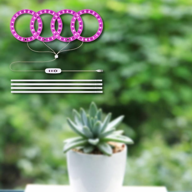 Angel Grow Light para semillas de plantas de interior, plántulas de claro D Cola Grow Light