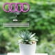 thumbnail image 1 of Angel Grow Light para semillas de plantas de interior, plántulas de claro D Cola Grow Light, 1 of 8