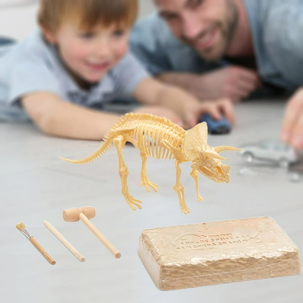 Kit Para Excavar Fósiles De Dinosaurios – 6 Dinosaurios Diferentes Para Desenterrar, Ideal Para Niños Y Amantes De La Paleontología