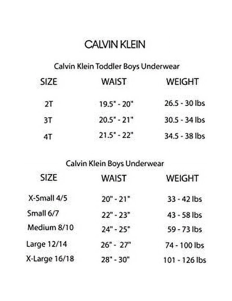 Blue, Big Calvin Boys\' L(12/14) Pack Briefs, Gray/Heather Klein Boxer Assorted 2