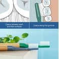 thumbnail image 4 of YWC-Choice Soft Dental Toothbrush for Teeth Cleaning With 3 Replaceable Heads, Green, 4 of 4