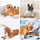 thumbnail image 3 of Benepaw Soft Dog Shoes Waterproof Shoes Sturdy Anti-Slip Adjustable Cross Straps Pet Boots For Walking Standing Hiking Running shopwise Round, 3 of 7