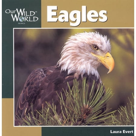 Our Wild World: Eagles (Paperback)