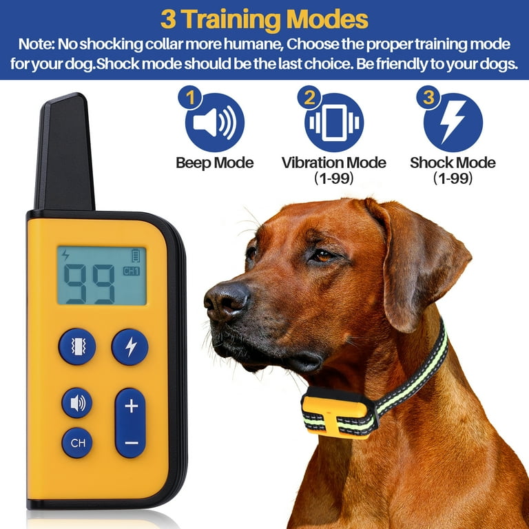 How Long Does Shock Last In A Dog