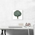 thumbnail image 2 of ARTCANVAS Artichoke 1613 Canvas Art Print by Besler Basilius - Size: 12" x 12" (1.50" Deep), 2 of 9