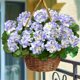 thumbnail image 4 of Flores artificiales de geranio Turnmeon para decoración de exteriores, 4 unidades, 4 of 8