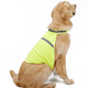 thumbnail image 4 of Chaqueta para perros Chaleco reflectante de seguridad de alta visibilidad para perros pequeños, medianos y grandes, 4 of 5