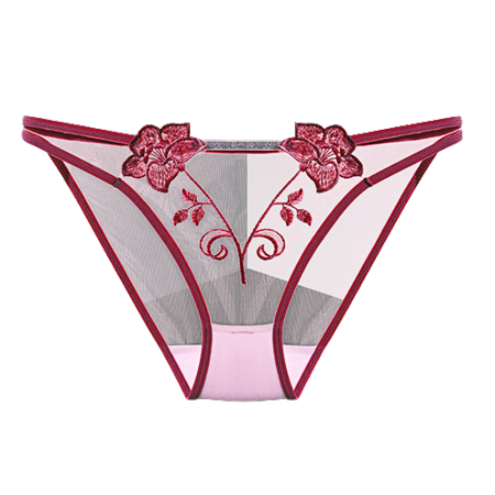 

ZMHEGW 6 Packs Seamless Underwear For Women Lace Underpants Transparent Mesh Hook Briefs Breathable Low Waist Seamless Underpants Panties