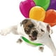 thumbnail image 2 of Adornos colgantes para coche con globos coloridos colgantes decorativos Doguillo, 2 of 5