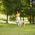 thumbnail image 6 of Rachael Ray Nutrish Premium Paté Weight Management Real Turkey & Pumpkin Recipe Wet Dog Food, 13 oz. Can, 12 Count, 6 of 9