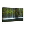 thumbnail image 1 of Somerset House Publishing 7057 30 x 40 x 2 Po. Paradis, Toile Giclée Enveloppée, 1 of 1