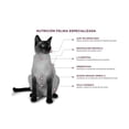 thumbnail image 3 of Alimento Para Gato Nupec Felino Renal Care 1.5 Kg Nupec, 3 of 3