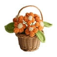thumbnail image 1 of Handmade Crochet Potted Desktop Ornament Decorative Knitted Home Desk Accessory Unique Idea, 1 of 6