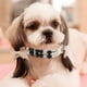 thumbnail image 5 of Apuakthei - Juego de 2 collares de perlas, bonitos collares para perros, gatos, cachorros, gatitos, bodas, fiestas de cumpleaños (M), 5 of 5