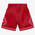 thumbnail image 2 of Men's Mitchell & Ness  Red Chicago Bulls 2008/09 Hardwood Classics Monochrome Swingman Shorts, 2 of 3