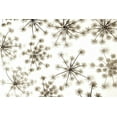 thumbnail image 2 of Blaustein, Alan 14x11 Gold Ornate Wood Framed with Double Matting Museum Art Print Titled - Garden Bloom - 20, 2 of 4