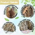 thumbnail image 6 of 4PCS Cork Terrarium Background 15.7x11.8in Natural Cork Large Bark Climbing Mat Habitat Decoration Chameleons, Lizards, Turtles Glass Jar Decoration, 6 of 8