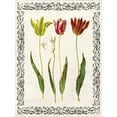 thumbnail image 2 of Berg, Sabine 19x24 Gold Ornate Wood Framed with Double Matting Museum Art Print Titled - Spring Blooms I, 2 of 4