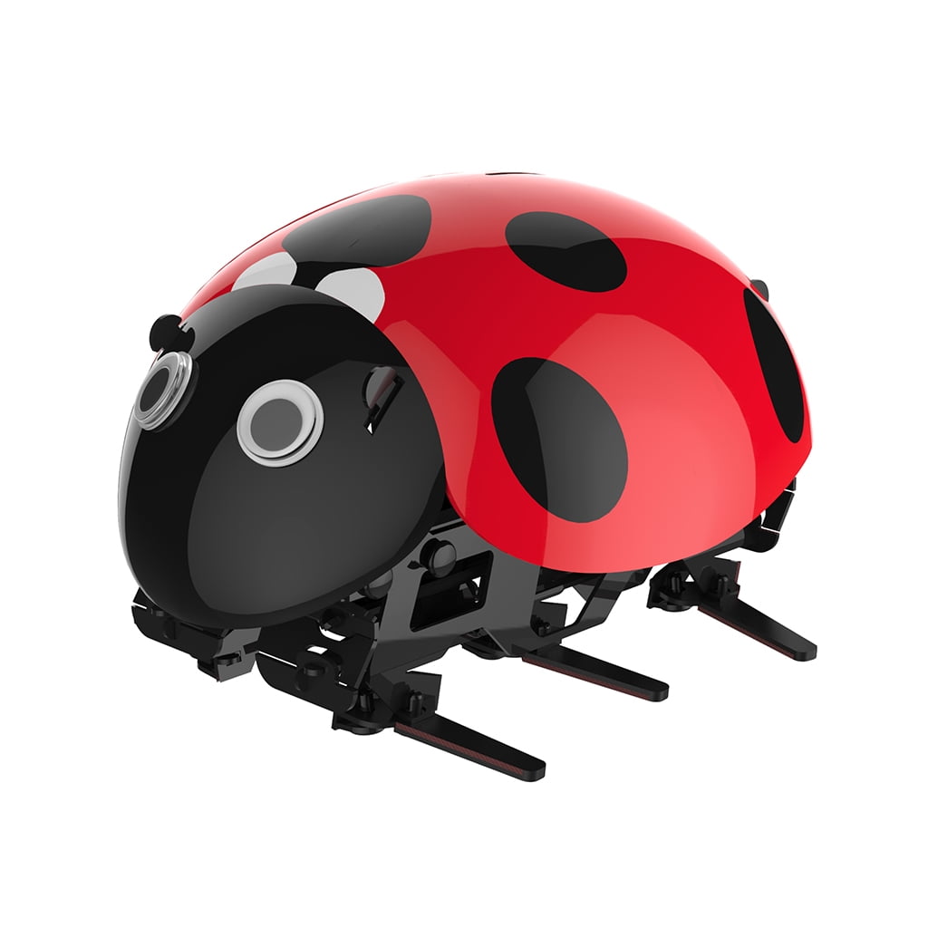 rc ladybug