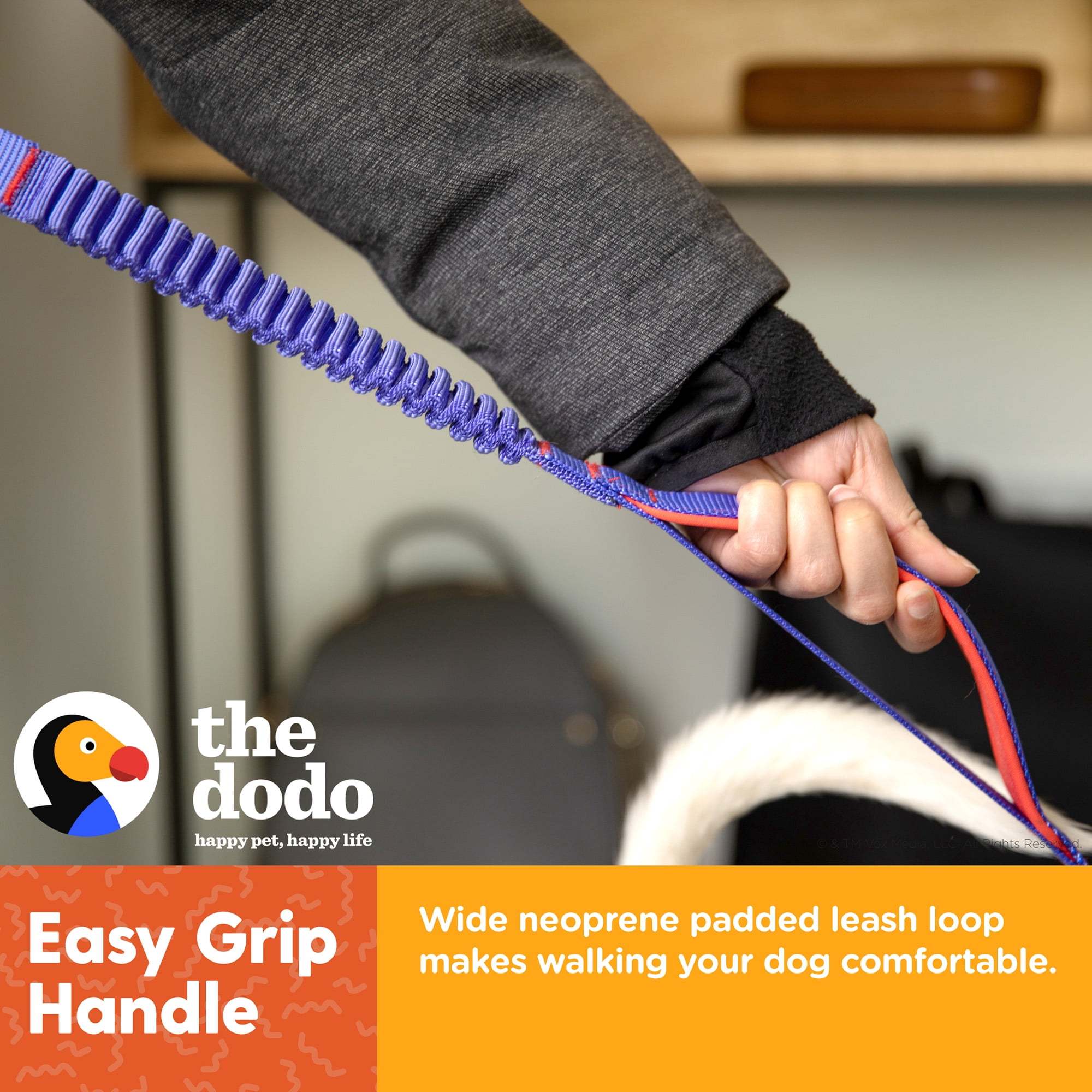 The Dodo Strain-Relieving, Bungee Dog Leash with Secondary Handle, 48” Blue