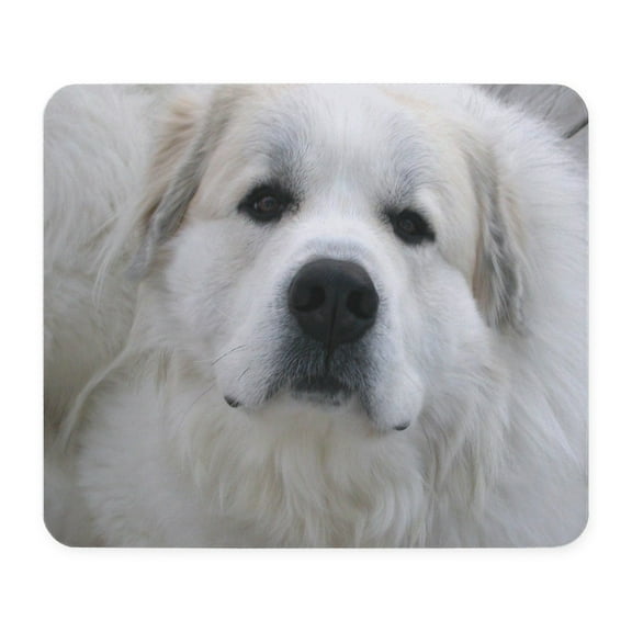 CafePress - Great Pyr Mousepad - Non-slip Rubber Mousepad, Gaming Mouse Pad